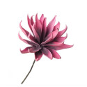Fiori